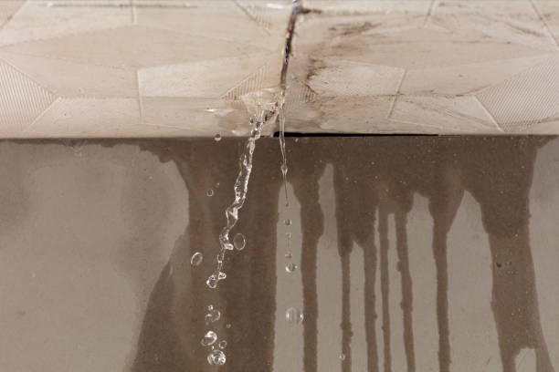 Professional Burst Pipe Cleanup technician working in Pascagoula, MS